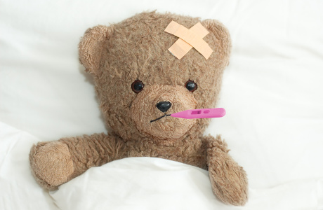 Teddy in hospital